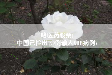 哈医药股票(
中国已检出199例输入XBB病例)