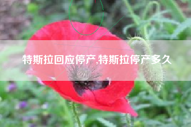 特斯拉回应停产,特斯拉停产多久