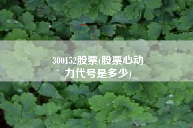 300152股票(股票心动
力代号是多少) 300152股票(股票心动
力代号是多少)