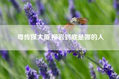 粤传媒大厦,柳岩到底是哪的人