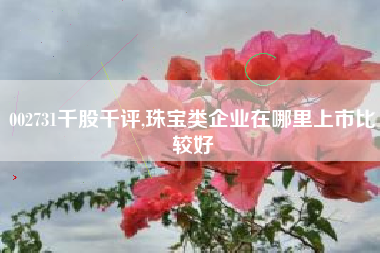 002731千股千评,珠宝类企业在哪里上市比较好