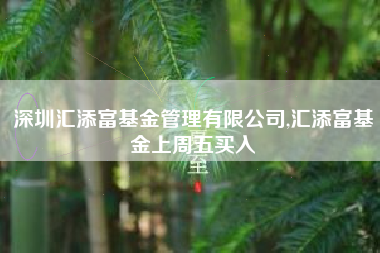 深圳汇添富基金管理有限公司,汇添富基金上周五买入