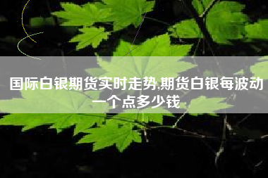 国际白银期货实时走势,期货白银每波动一个点多少钱