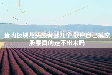 猪肉板块龙头股有哪几个,散户自己摸索股票真的走不出来吗