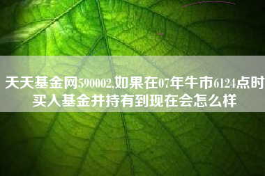 天天基金网590002,如果在07年牛市6124点时买入基金并持有到现在会怎么样