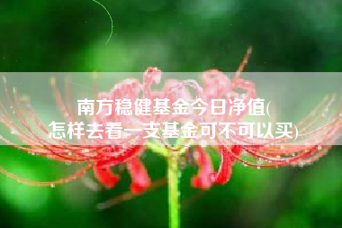 南方稳健基金今日净值(
怎样去看一支基金可不可以买)