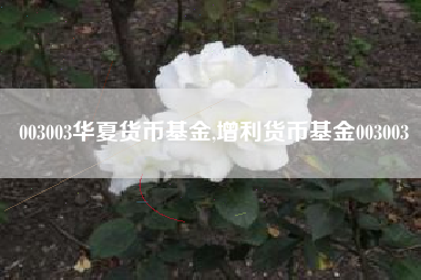 003003华夏货币基金,增利货币基金003003