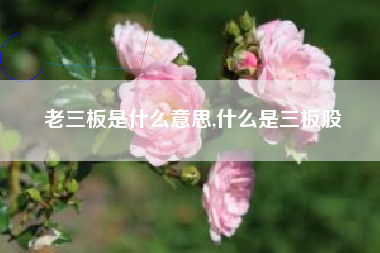 老三板是什么意思,什么是三板股