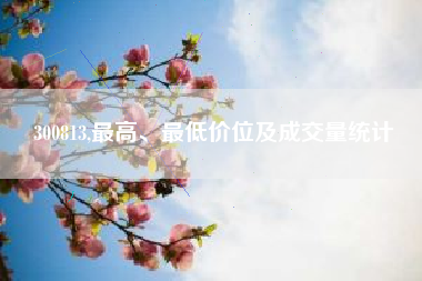 300813,最高、最低价位及成交量统计