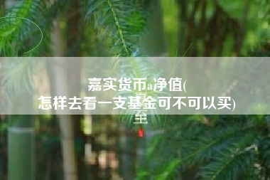嘉实货币a净值(
怎样去看一支基金可不可以买)