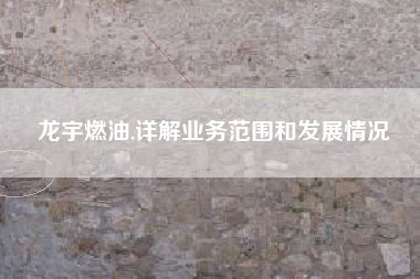 龙宇燃油,详解业务范围和发展情况