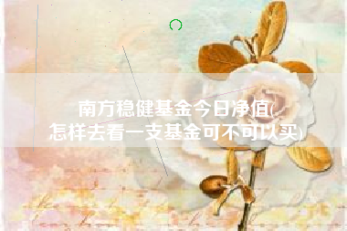 南方稳健基金今日净值(
怎样去看一支基金可不可以买)