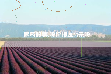 昆药股票,股价报20.53元股
