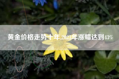 黄金价格走势十年,2023年涨幅达到43%