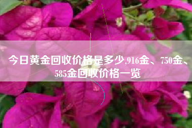 今日黄金回收价格是多少,916金、750金、585金回收价格一览