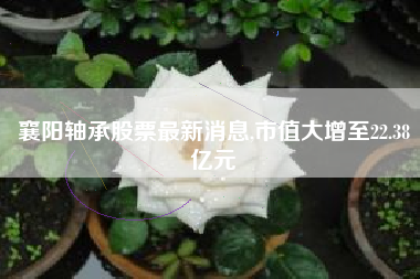 襄阳轴承股票最新消息,市值大增至22.38亿元