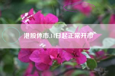 港股休市,14日起正常开市