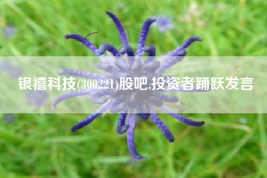 银禧科技(300221)股吧,投资者踊跃发言