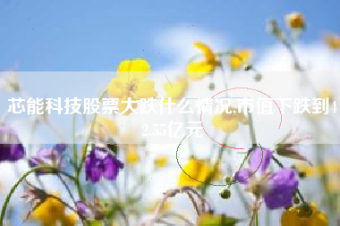 芯能科技股票大跌什么情况,市值下跌到42.55亿元