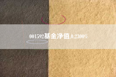 001592基金净值,0.2300%