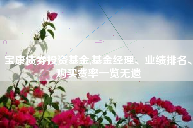 宝康债券投资基金,基金经理、业绩排名、购买费率一览无遗