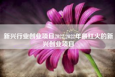 新兴行业创业项目2022,2022年最红火的新兴创业项目