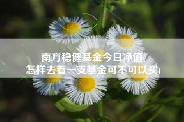 南方稳健基金今日净值(
怎样去看一支基金可不可以买)