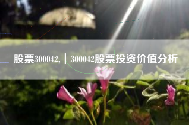 股票300042,｜300042股票投资价值分析