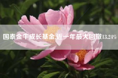 国泰金牛成长基金,近一年最大回撤13.24%