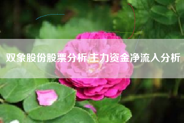 双象股份股票分析,主力资金净流入分析