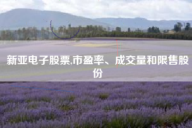 新亚电子股票,市盈率、成交量和限售股份