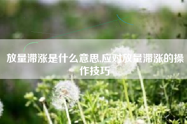 放量滞涨是什么意思,应对放量滞涨的操作技巧