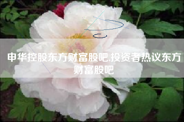 申华控股东方财富股吧,投资者热议东方财富股吧