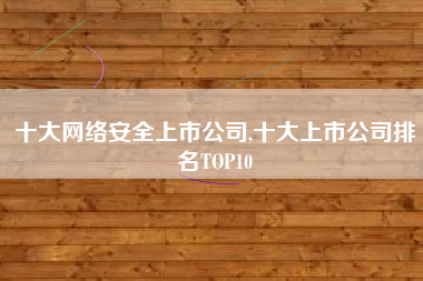 十大网络安全上市公司,十大上市公司排名TOP10