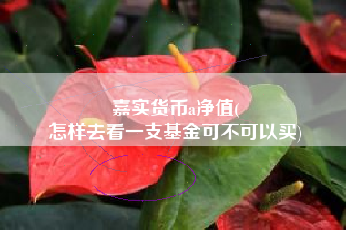 嘉实货币a净值(
怎样去看一支基金可不可以买)