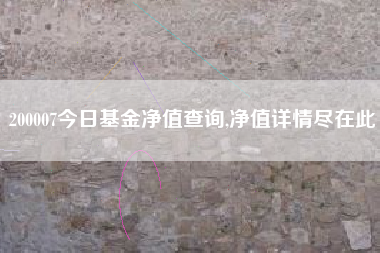 200007今日基金净值查询,净值详情尽在此