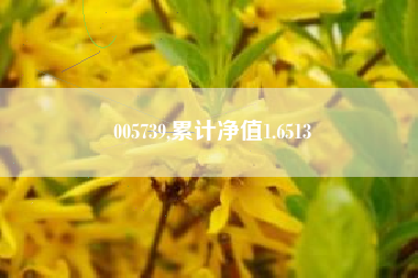 005739,累计净值1.6513
