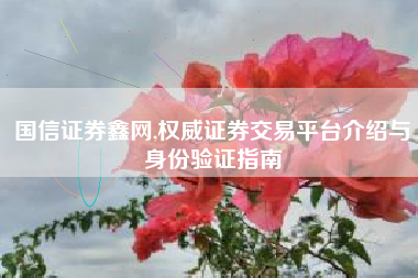 国信证券鑫网,权威证券交易平台介绍与身份验证指南