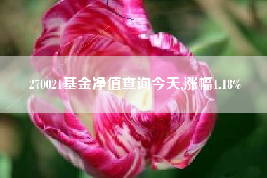 270021基金净值查询今天,涨幅1.18%