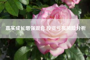 嘉实成长增强混合,投资亏损风险分析