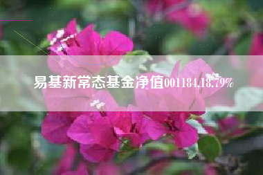 易基新常态基金净值001184,18.79%