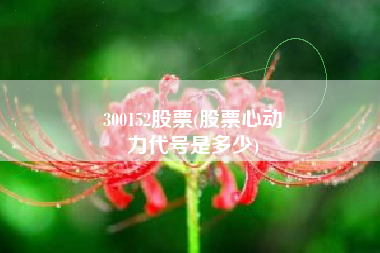 300152股票(股票心动
力代号是多少) 300152股票(股票心动
力代号是多少)