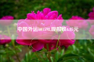 中国外运601598,现报收6.05元