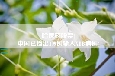 哈医药股票(
中国已检出199例输入XBB病例)