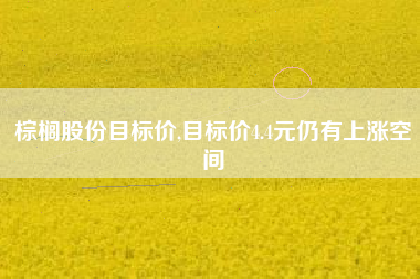 棕榈股份目标价,目标价4.4元仍有上涨空间
