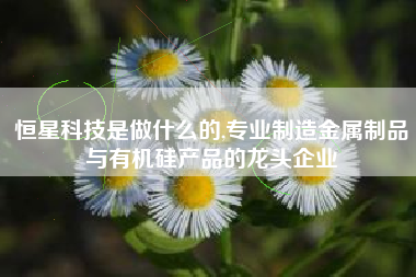 恒星科技是做什么的,专业制造金属制品与有机硅产品的龙头企业