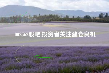 002562股吧,投资者关注建仓良机