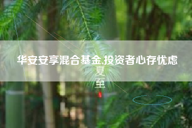华安安享混合基金,投资者心存忧虑
