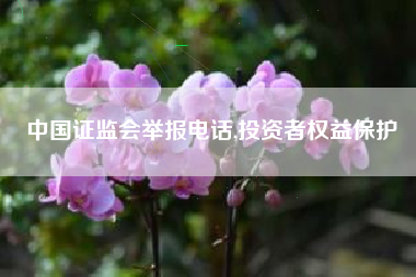 中国证监会举报电话,投资者权益保护