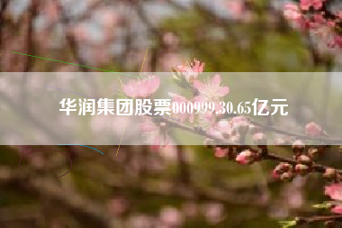 华润集团股票000999,30.65亿元